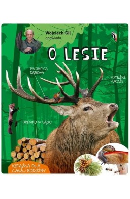 Wojciech Gil opowiada o lesie