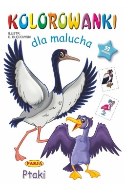 Kolorowanki dla malucha Ptaki