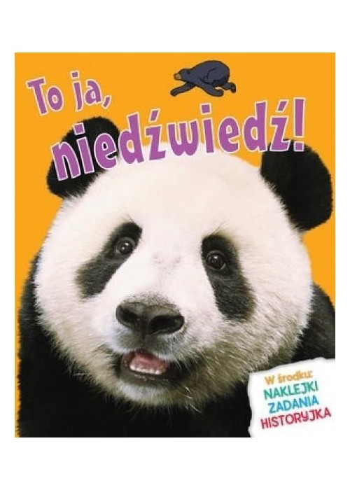 To ja, niedźwiedź!