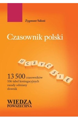 Czasownik polski