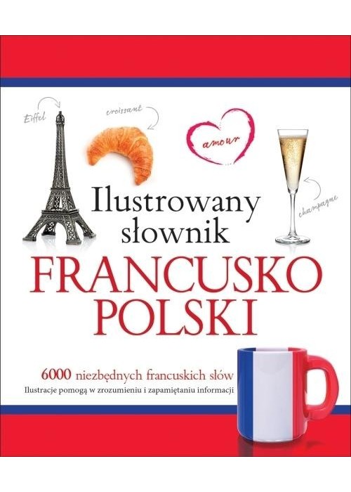 Ilustrowany słownik francusko-polski w.2015