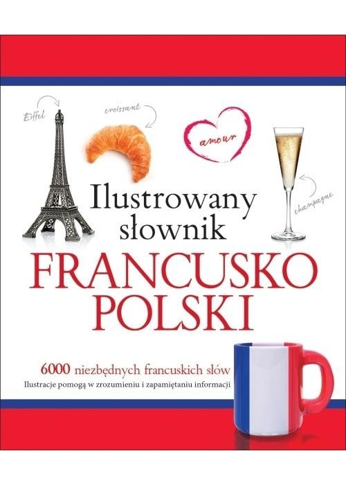 Ilustrowany słownik francusko-polski w.2015