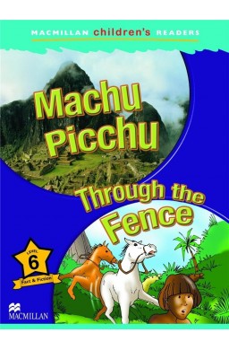Children's: Machu Picchu 6 Through the Fence
