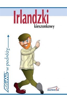 Irlandzki kieszonkowy w podróży ASSIMIL