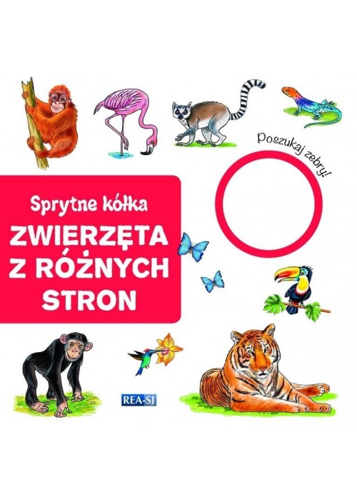 Sprytne kółka. Zwierzęta z różnych stron