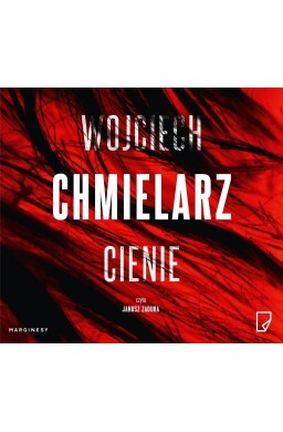 Cienie audiobook