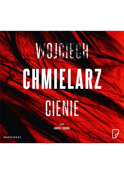 Cienie audiobook