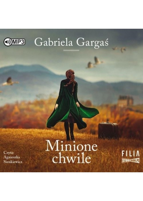 Minione chwile audiobook