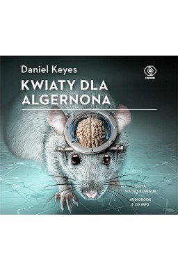 Kwiaty dla Algernona. Audiobook