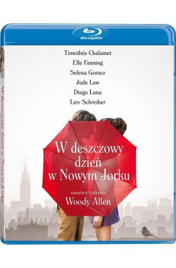 W deszczowy dzień w Nowym Jorku (blu-ray)