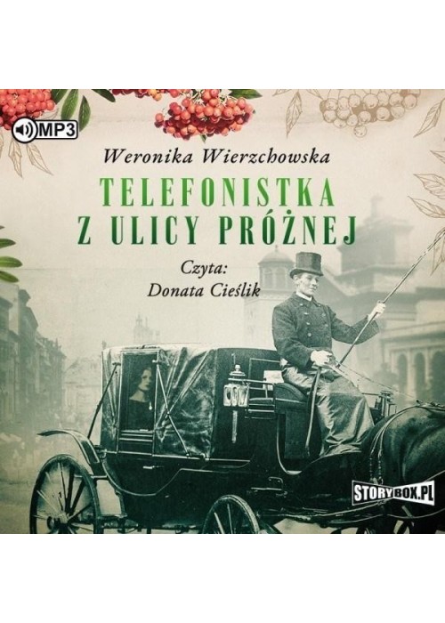 Telefonistka z ulicy Próżnej audiobook