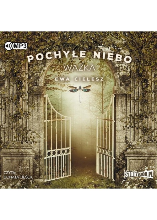 Pochyłe niebo T.3 Ważka audiobook