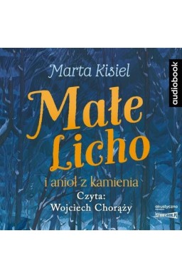 Małe Licho i anioł z kamienia