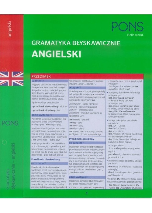 Gramatyka błyskawicznie. Angielski PONS