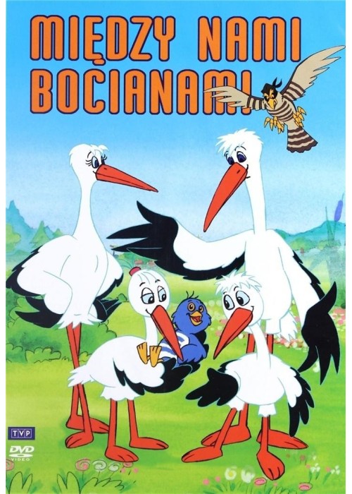 Między nami bocianami DVD